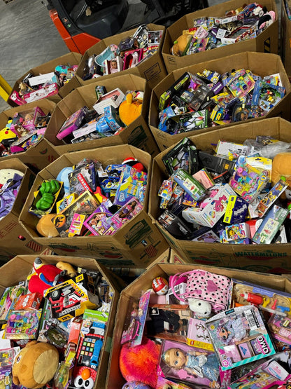 Target Toy Pallets – 200units  Brand-New Toys for Only $450